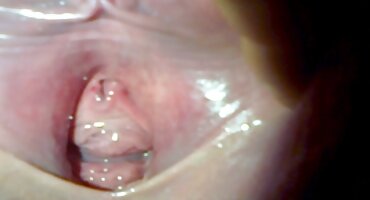 తెలుగు సెక్స్ లైవ్ వీడియో