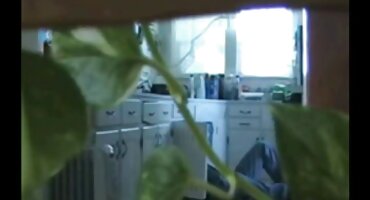 మరొక వ్యక్తి తో ఫకింగ్ తర్వాత ఒక తాగిన అమ్మాయి యొక్క పూకు నాకు సెక్స్ తెలుగు తెలుగు సెక్స్ వీడియో